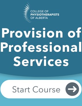 Provision of Professional Services